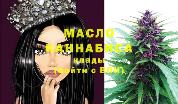 тгк Бородино