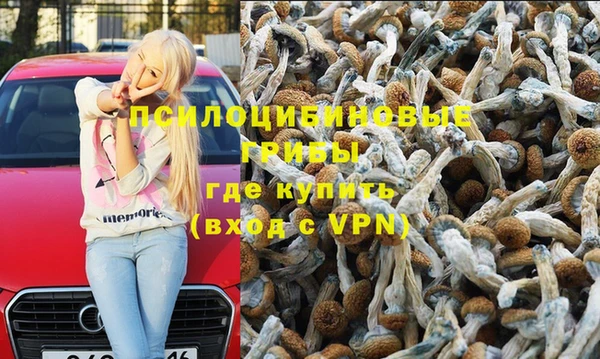 тгк Бородино