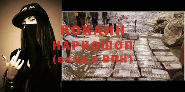 тгк Бородино