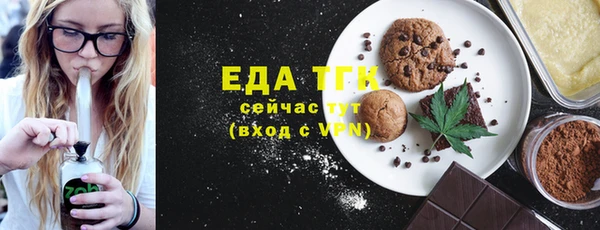 тгк Бородино