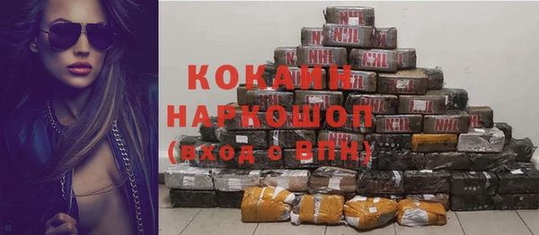 тгк Бородино