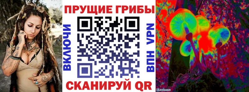 сколько стоит  кракен рабочий сайт  Галлюциногенные грибы Psilocybe  Вологда 