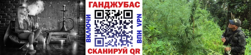 цена   Вологда  Марихуана семена 
